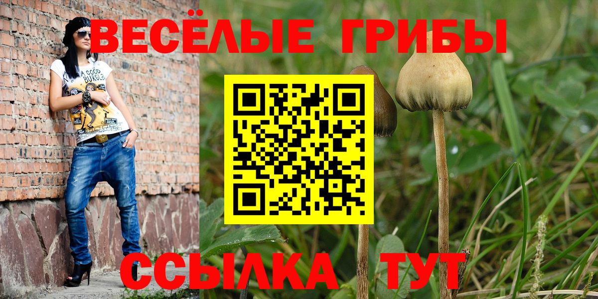 Псилоцибиновые грибы Psilocybine cubensis  Псилоцибиновые грибы GOLDEN TEACHER  магазин продажи наркотиков  Вход с VPN  Королёв 